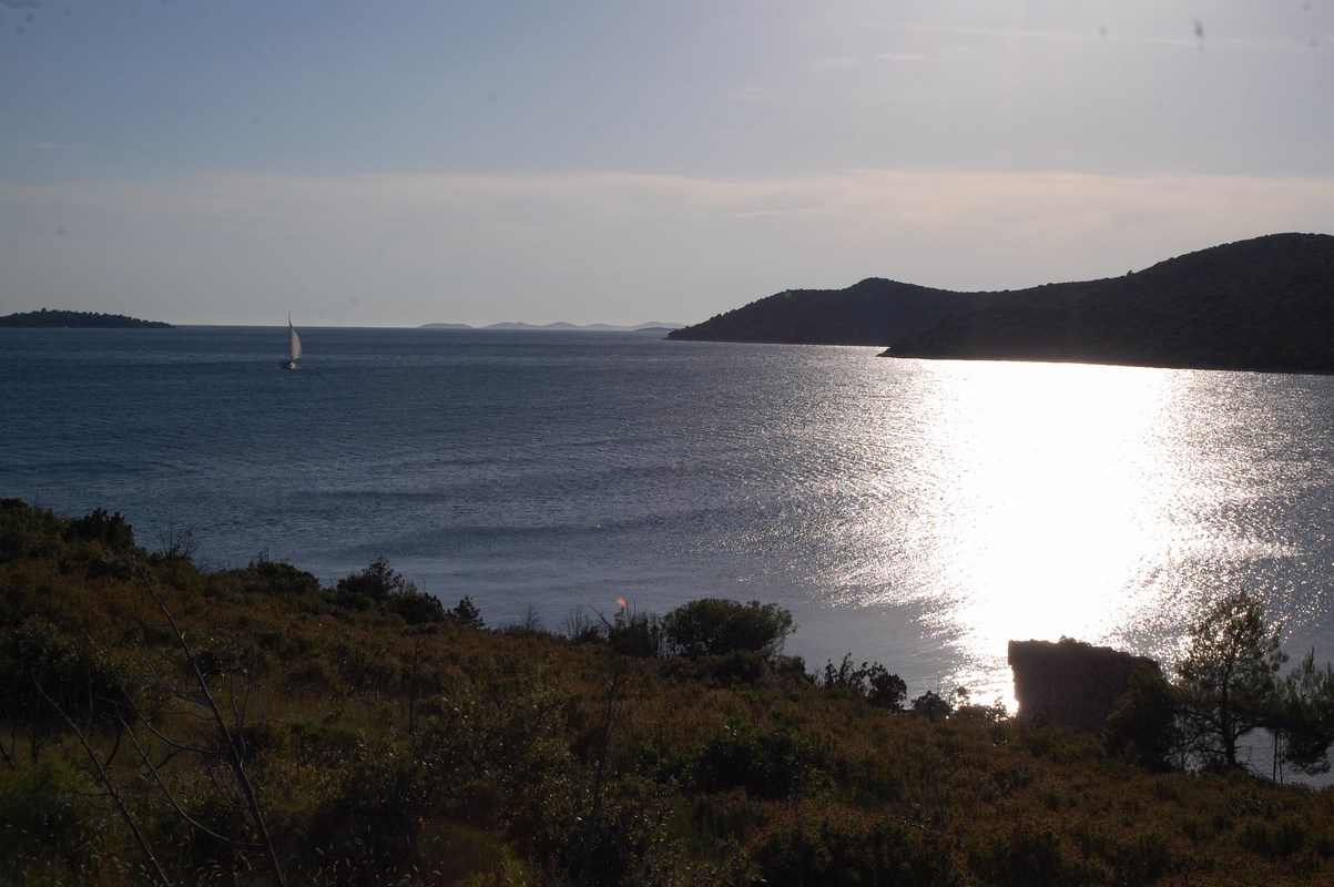 DSC_1501 (Kopiowanie).JPG