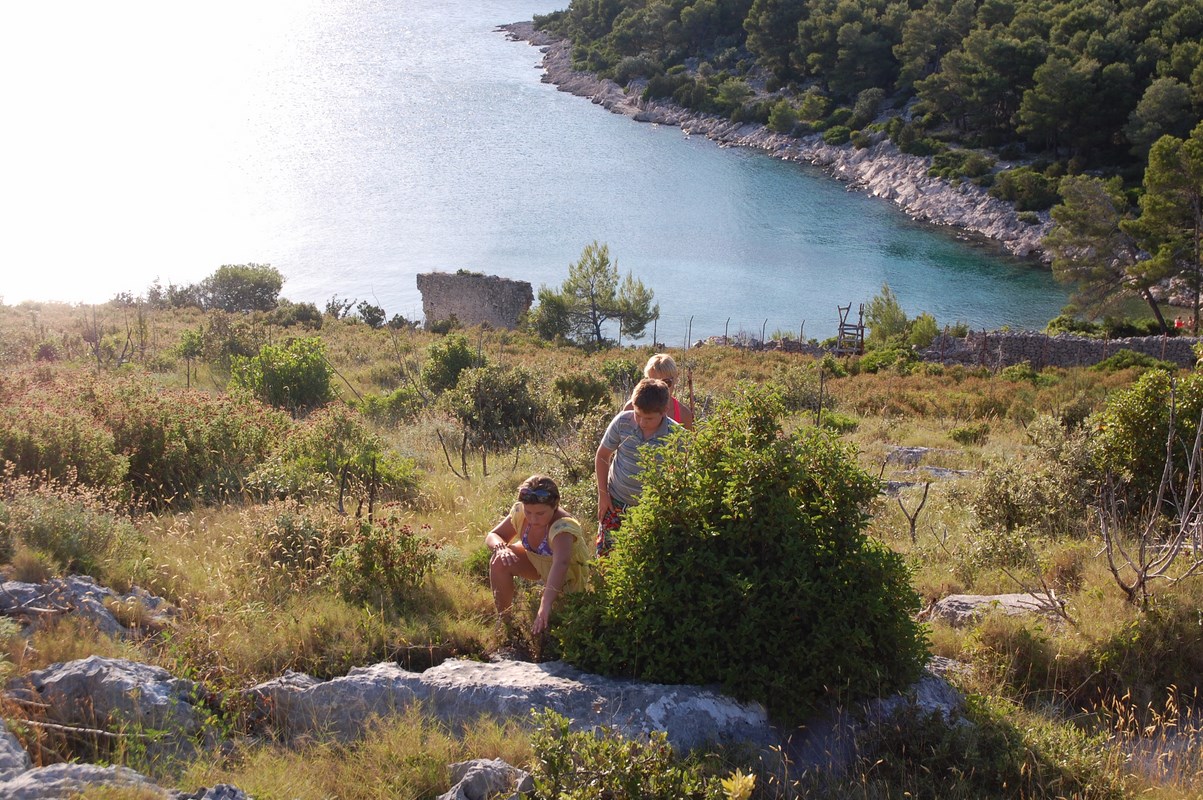 DSC_1504 (Kopiowanie).JPG