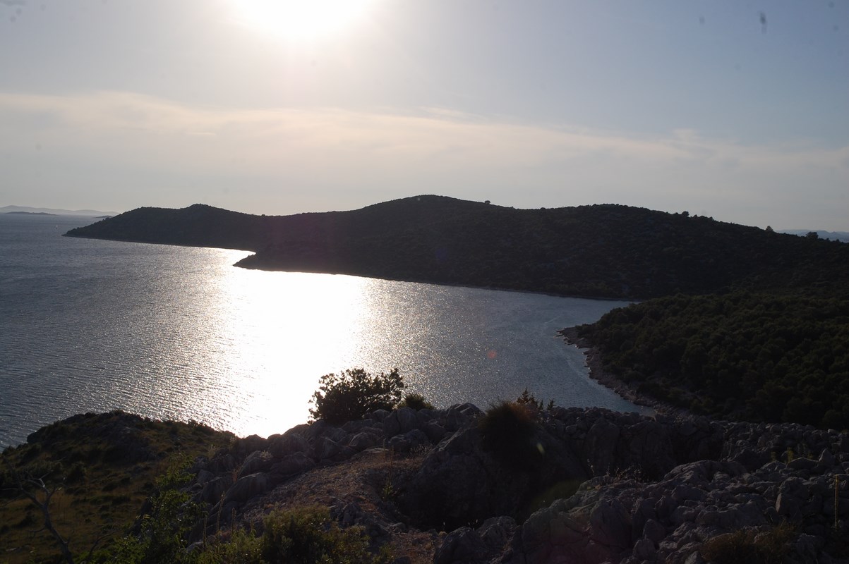 DSC_1515 (Kopiowanie).JPG