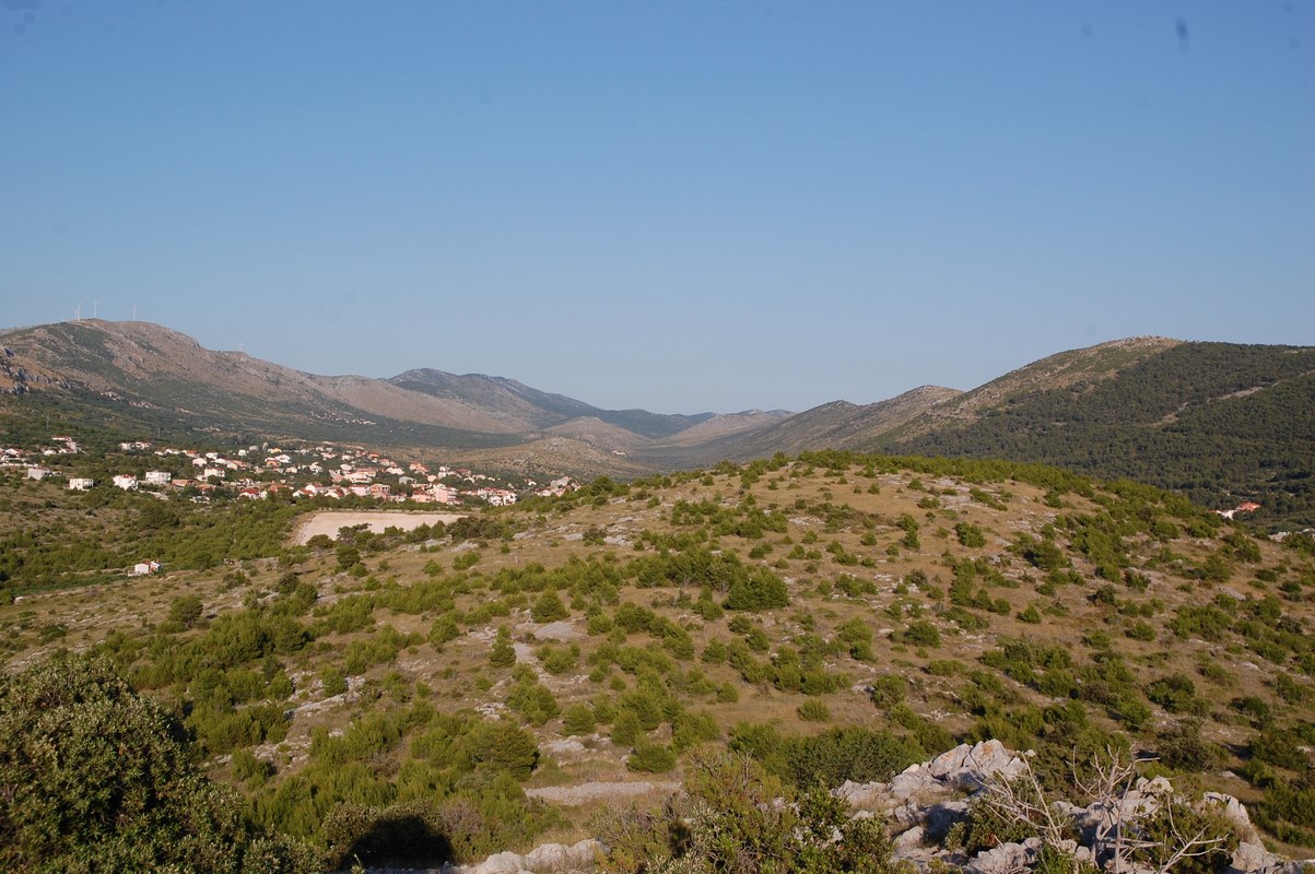 DSC_1524 (Kopiowanie).JPG