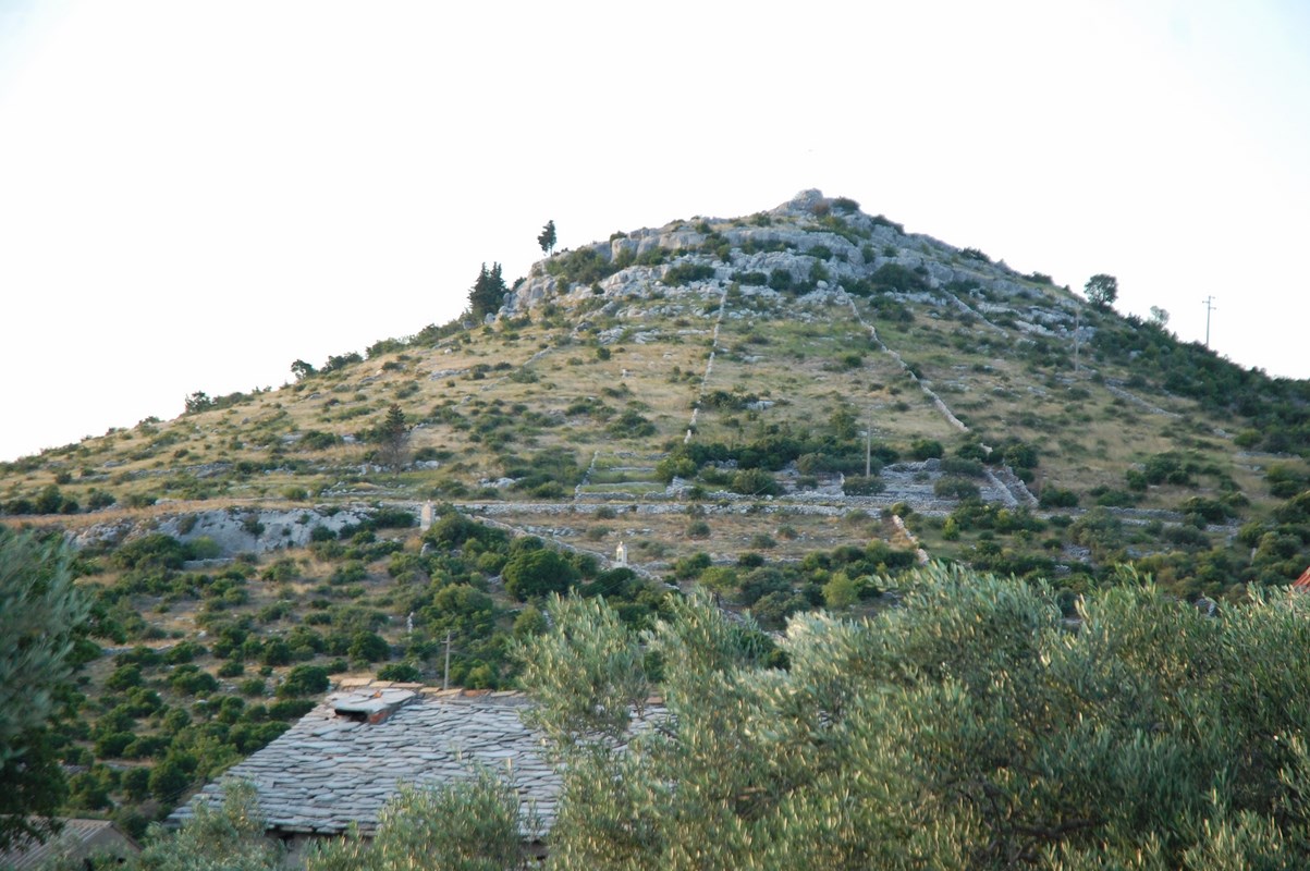 DSC_1594 (Kopiowanie).JPG