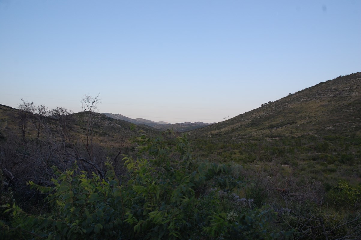 DSC_1608 (Kopiowanie).JPG