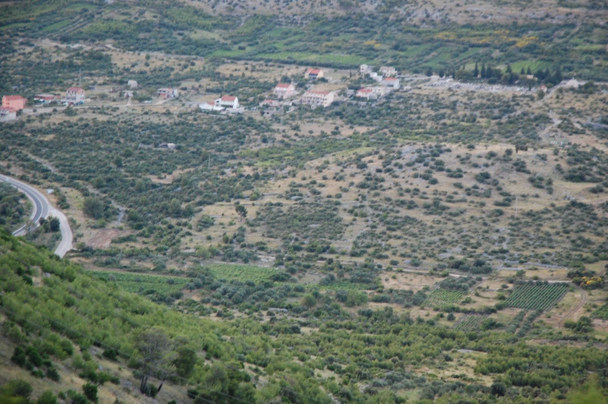 DSC_1633 (Kopiowanie).JPG