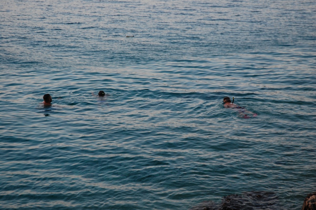 DSC_1680 (Kopiowanie).JPG