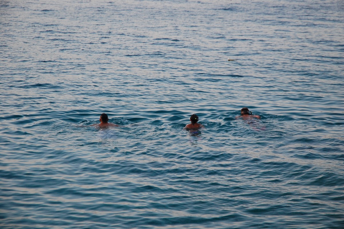 DSC_1683 (Kopiowanie).JPG