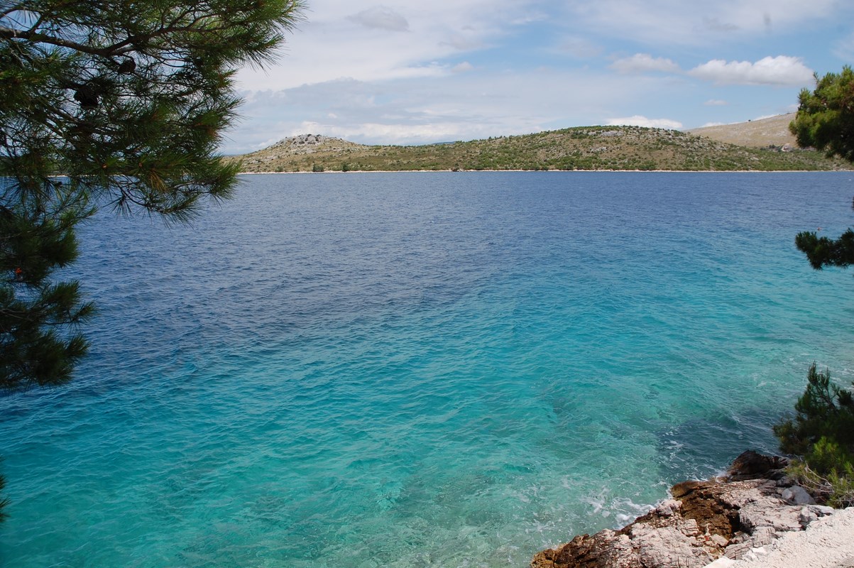 DSC_1747 (Kopiowanie).JPG