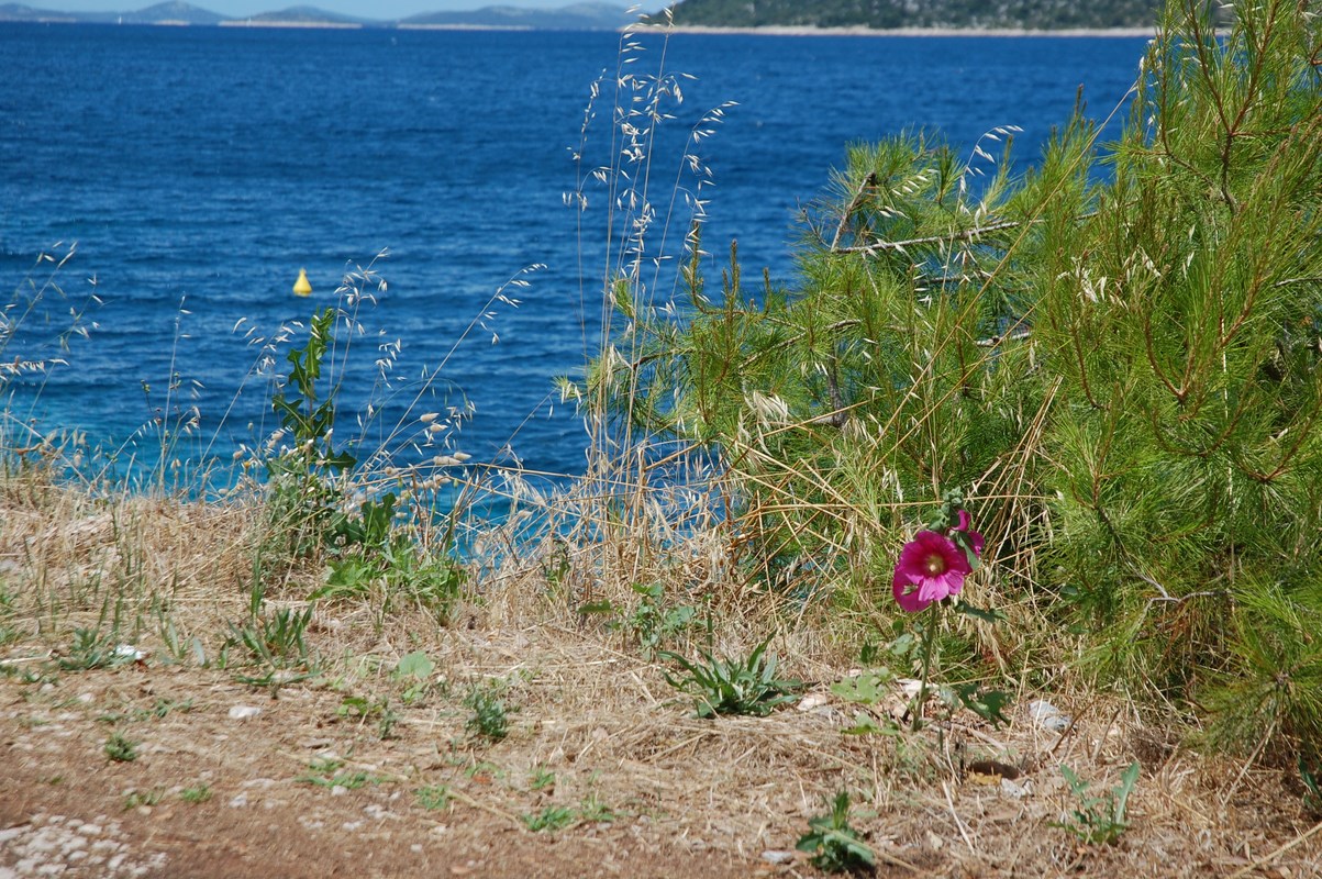 DSC_1767 (Kopiowanie).JPG