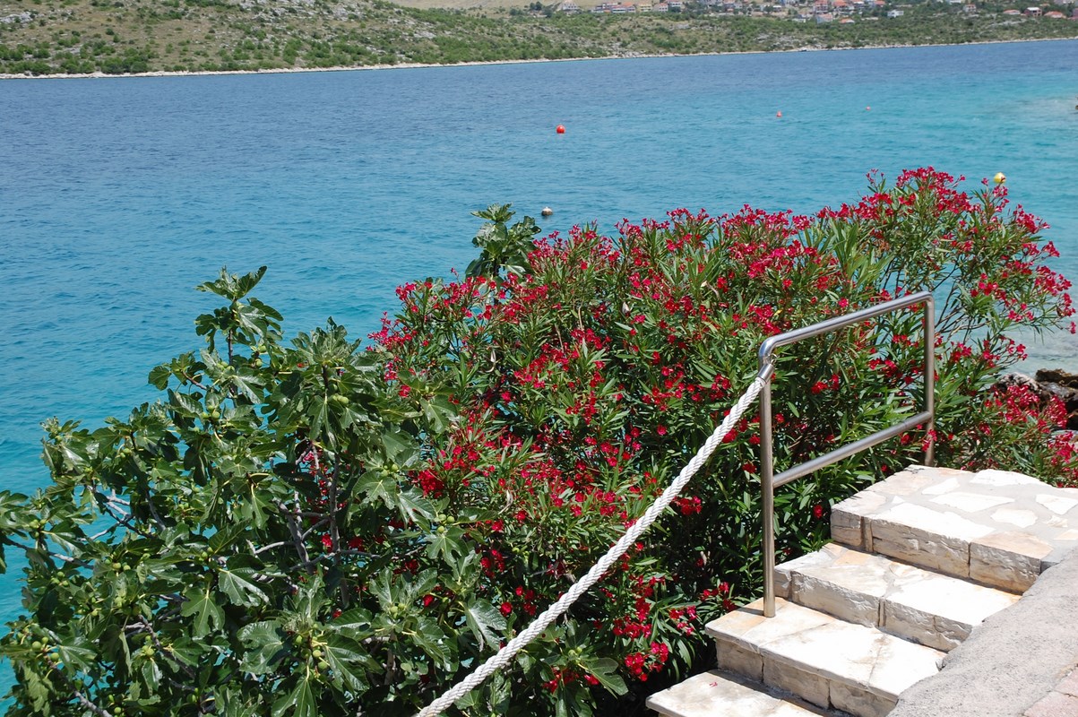 DSC_1770 (Kopiowanie).JPG