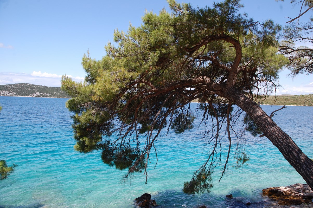 DSC_1790 (Kopiowanie).JPG