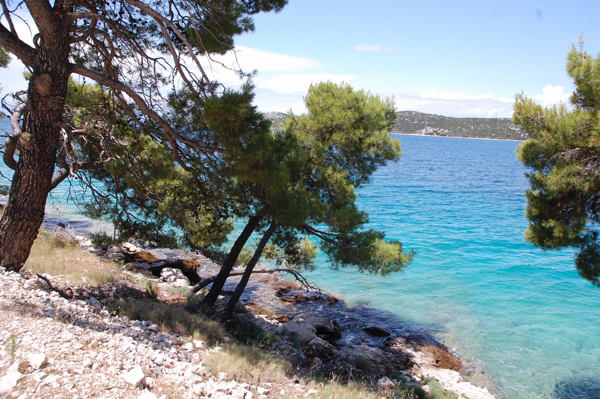 DSC_1793 (Kopiowanie).JPG