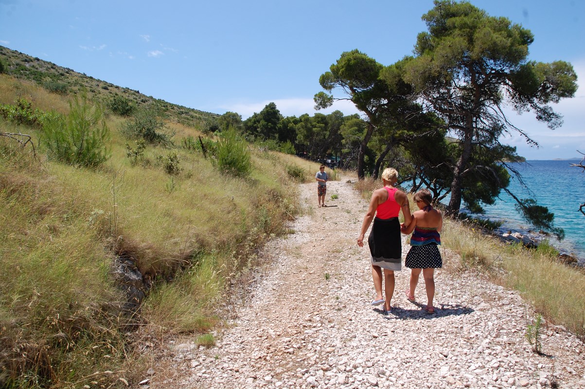 DSC_1796 (Kopiowanie).JPG