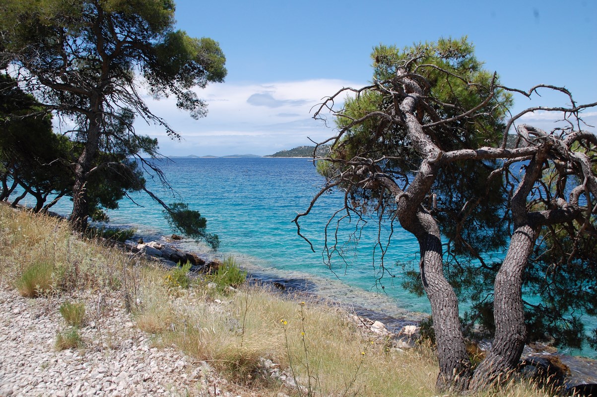 DSC_1798 (Kopiowanie).JPG