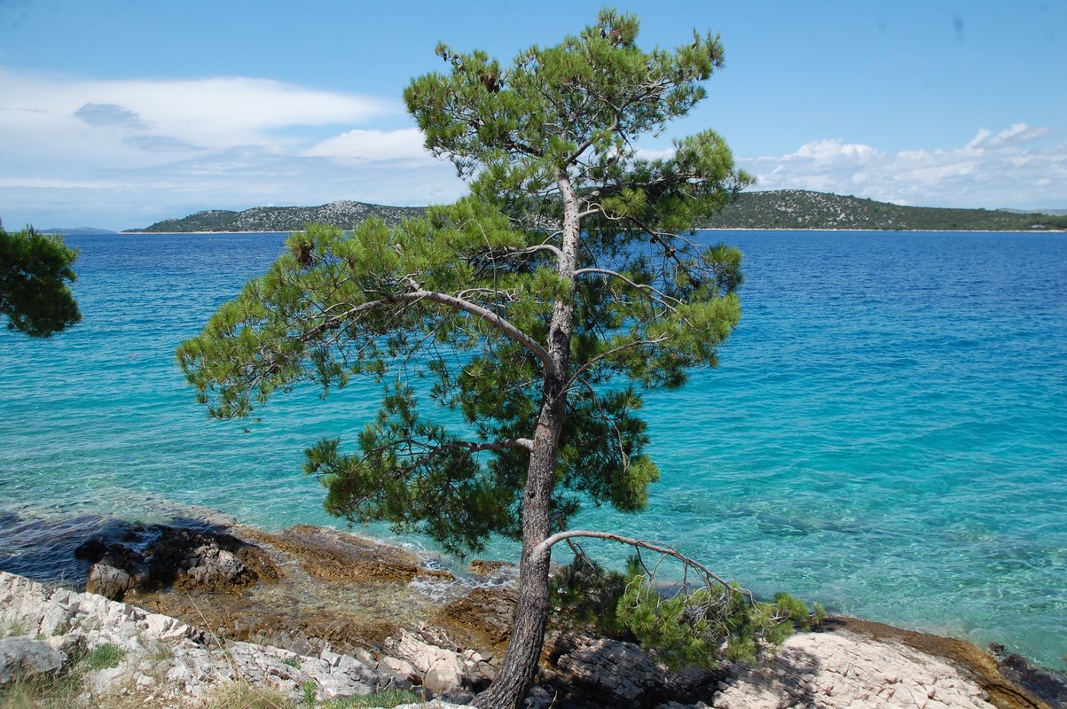 DSC_1804 (Kopiowanie).JPG