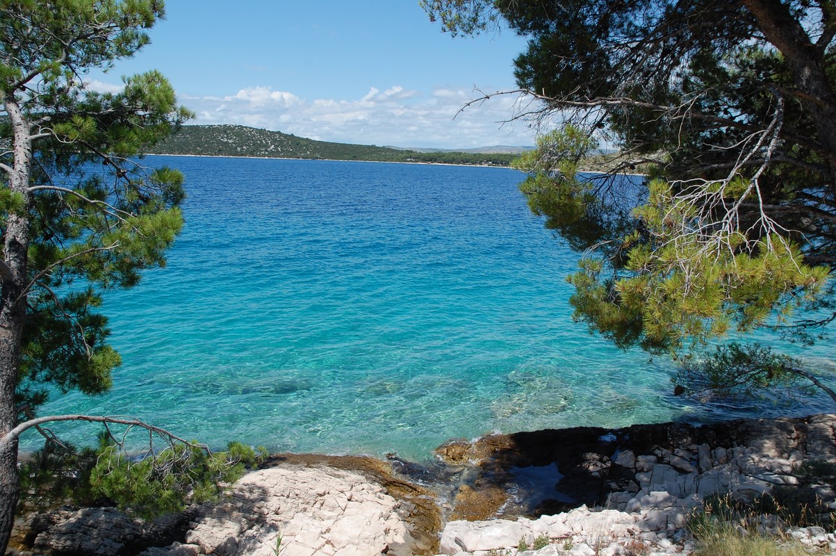 DSC_1806 (Kopiowanie).JPG