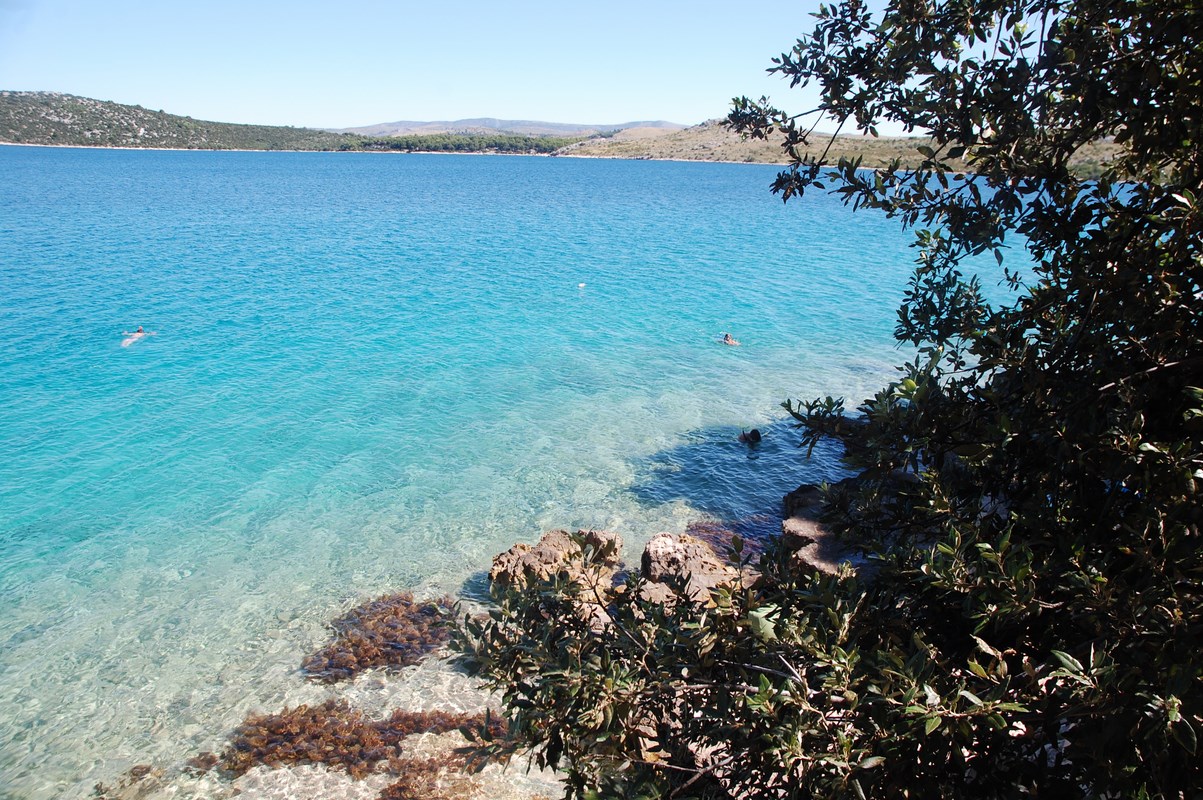 DSC_2015 (Kopiowanie).JPG