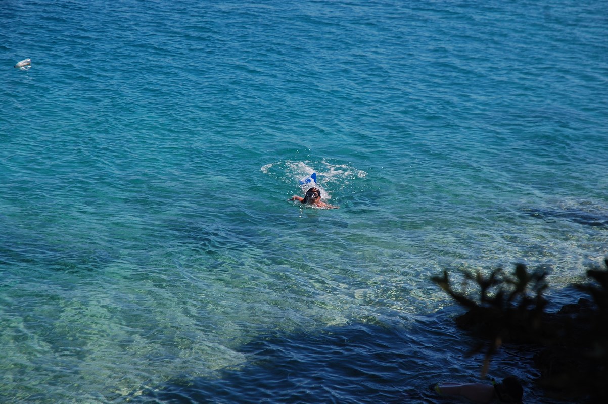 DSC_2017 (Kopiowanie).JPG