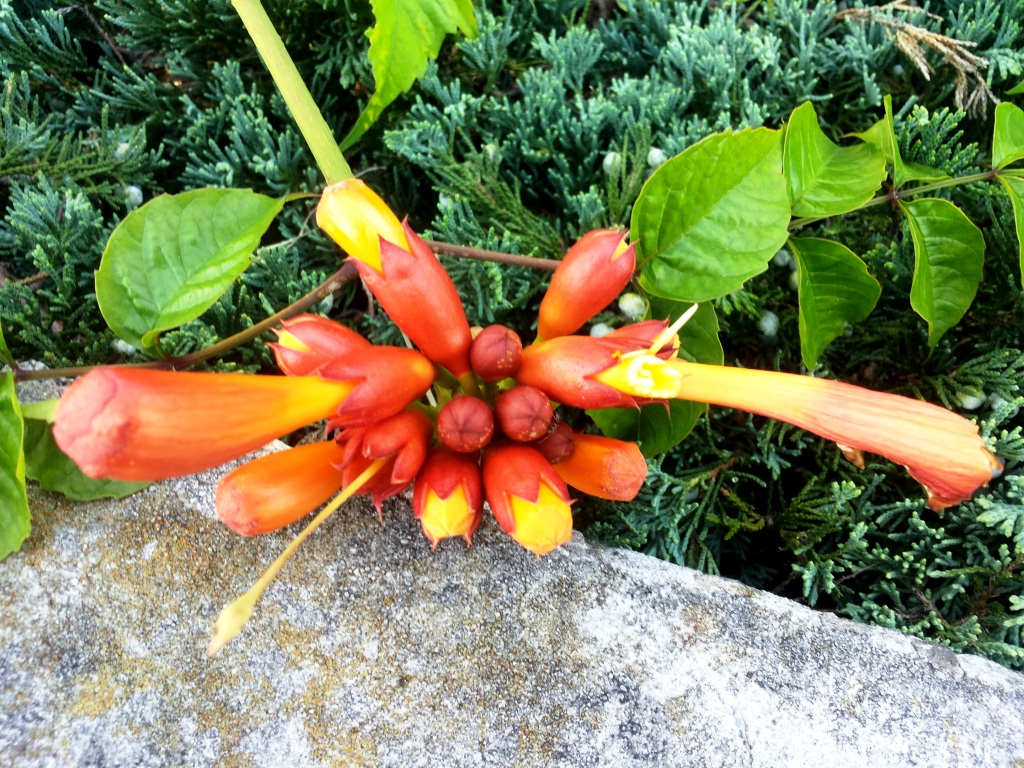 20140718_191935.jpg