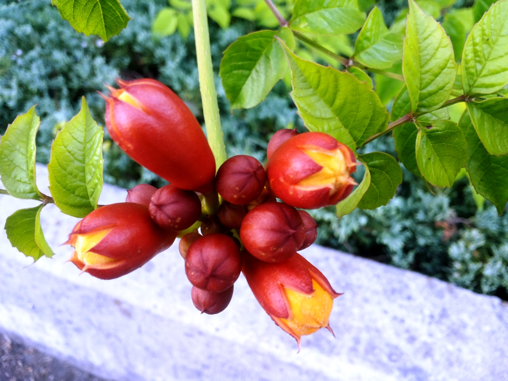 20140718_191942.jpg