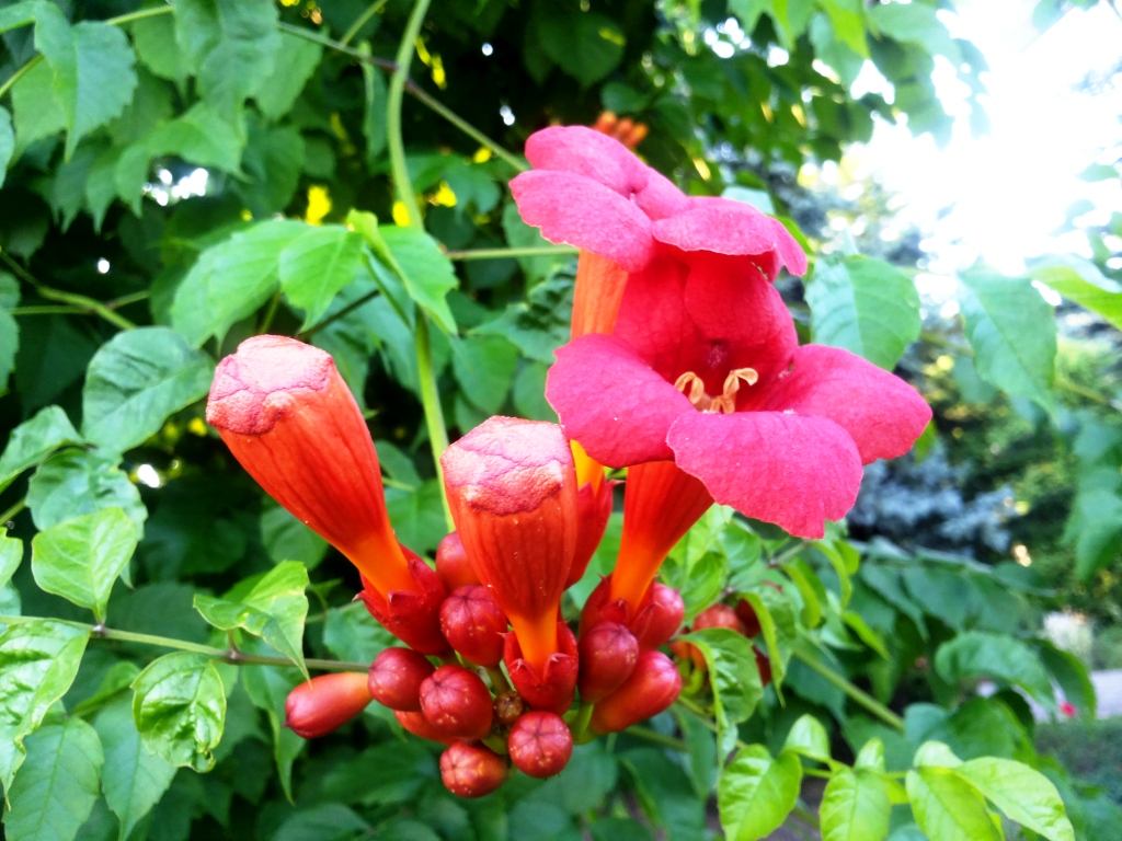 20140718_192027.jpg