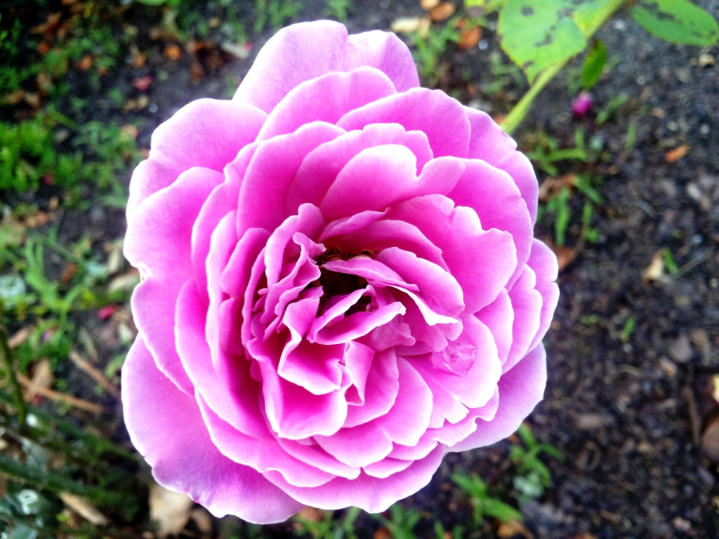 20140718_192125.jpg