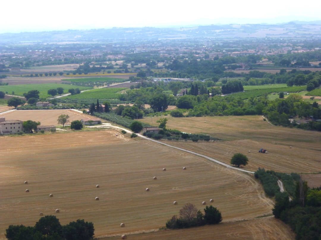 Ostatnie spojrzenie z Asyżu - później czeka na nas Ascoli / P1030703.JPG P1030703.JPG