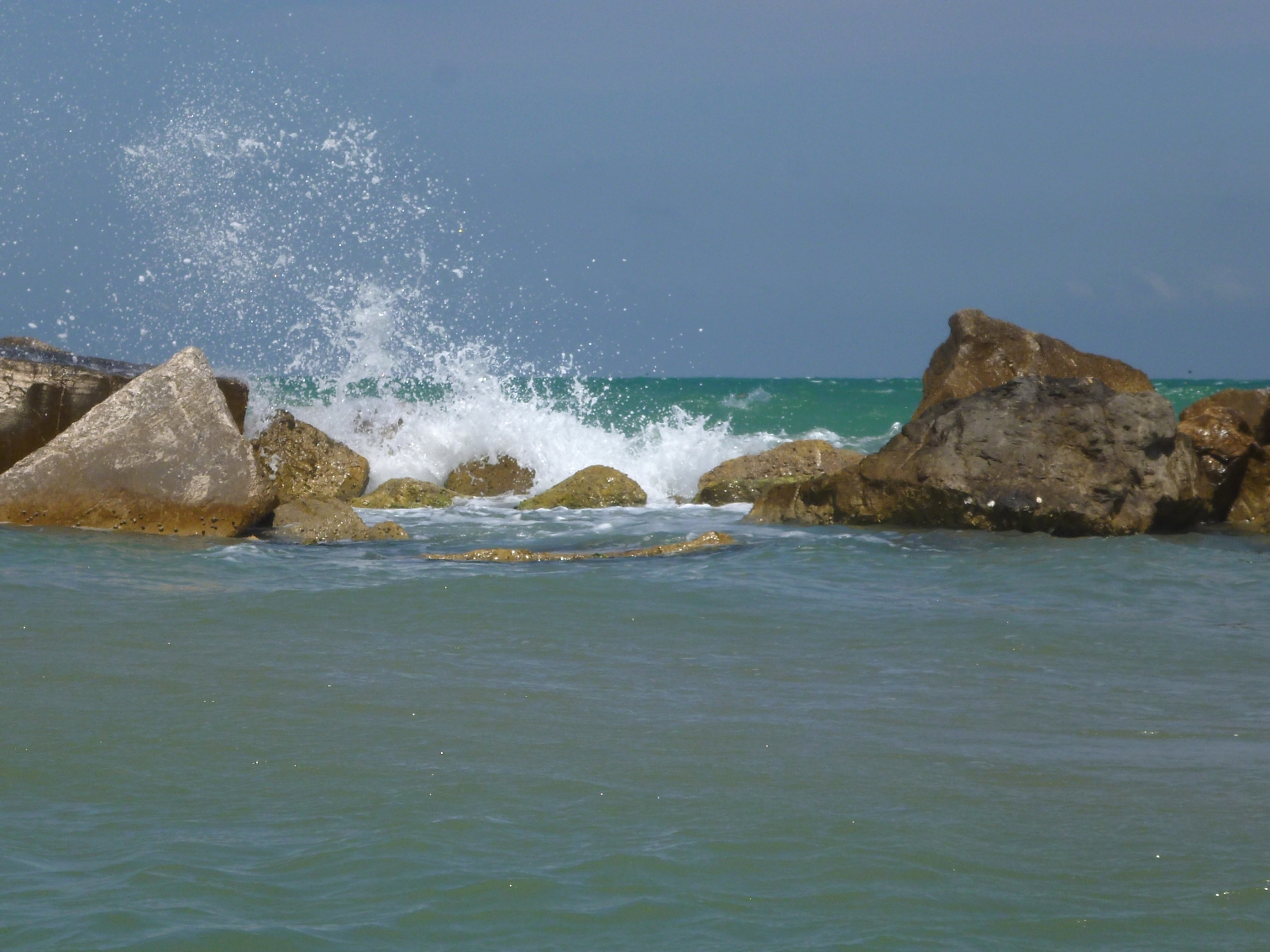 P1040690.JPG P1040690.JPG