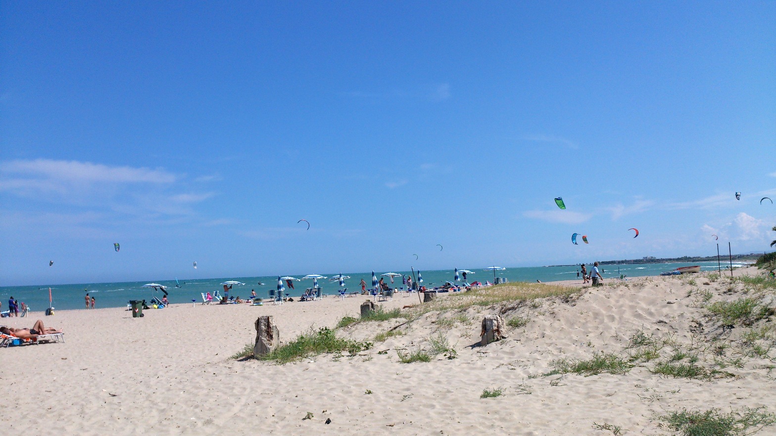 DSC_2563.jpg DSC_2563.jpg