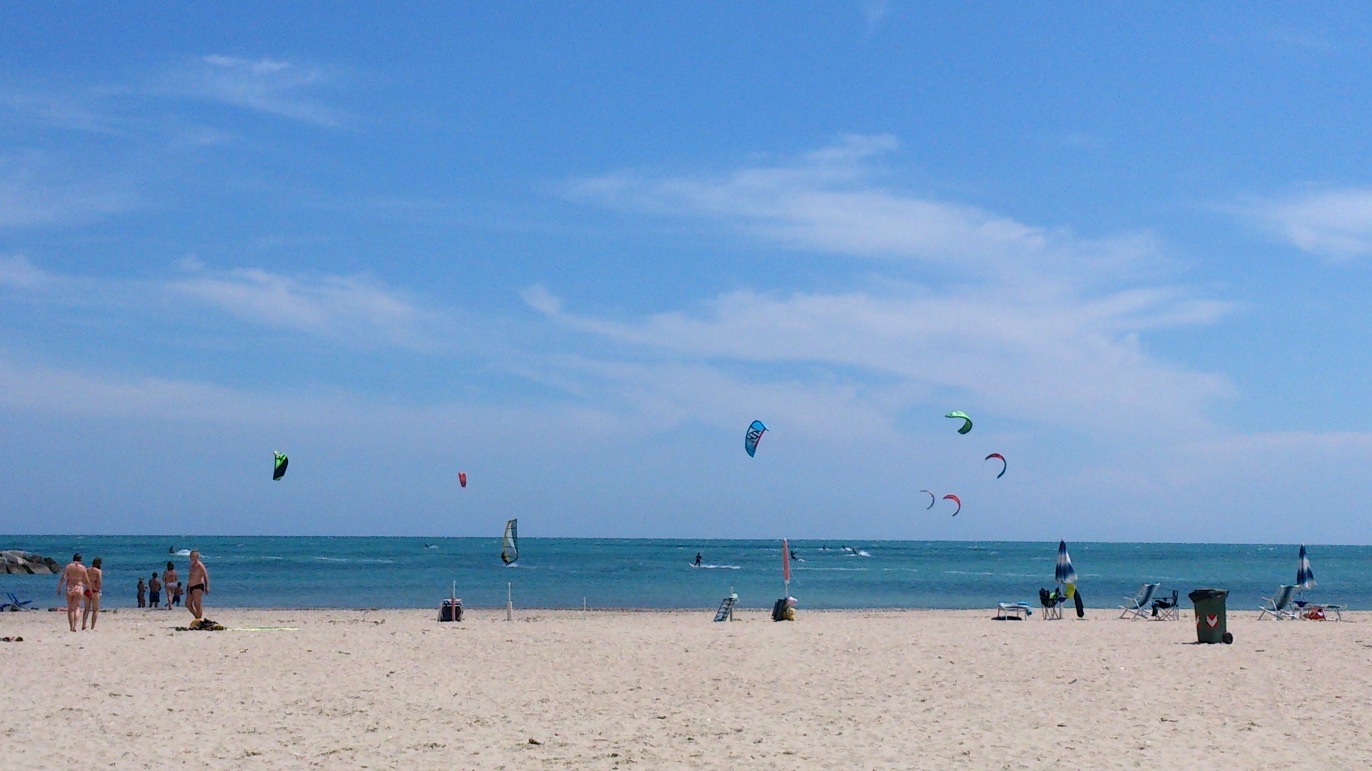 DSC_2555.jpg DSC_2555.jpg