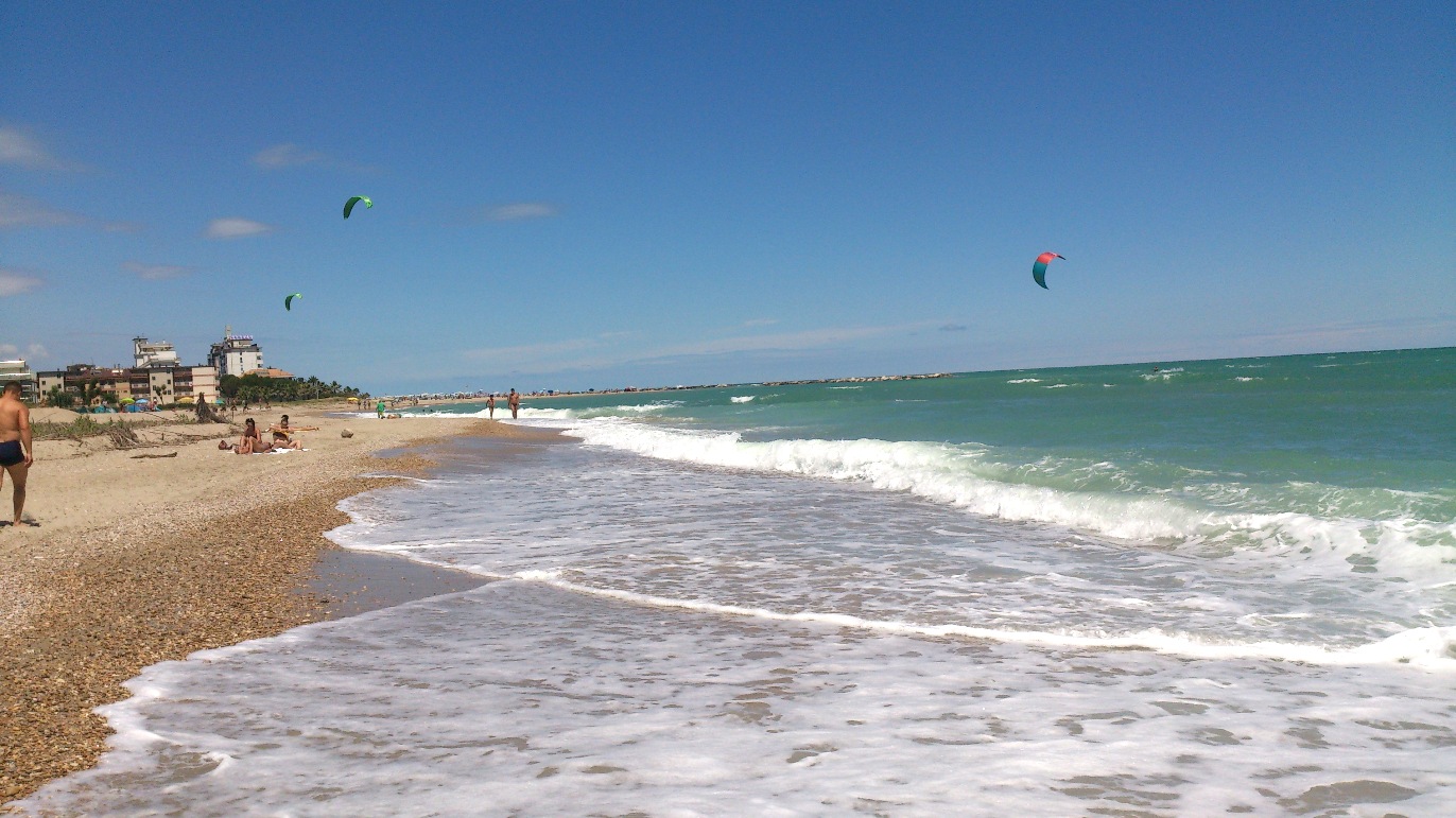 DSC_2233.jpg DSC_2233.jpg