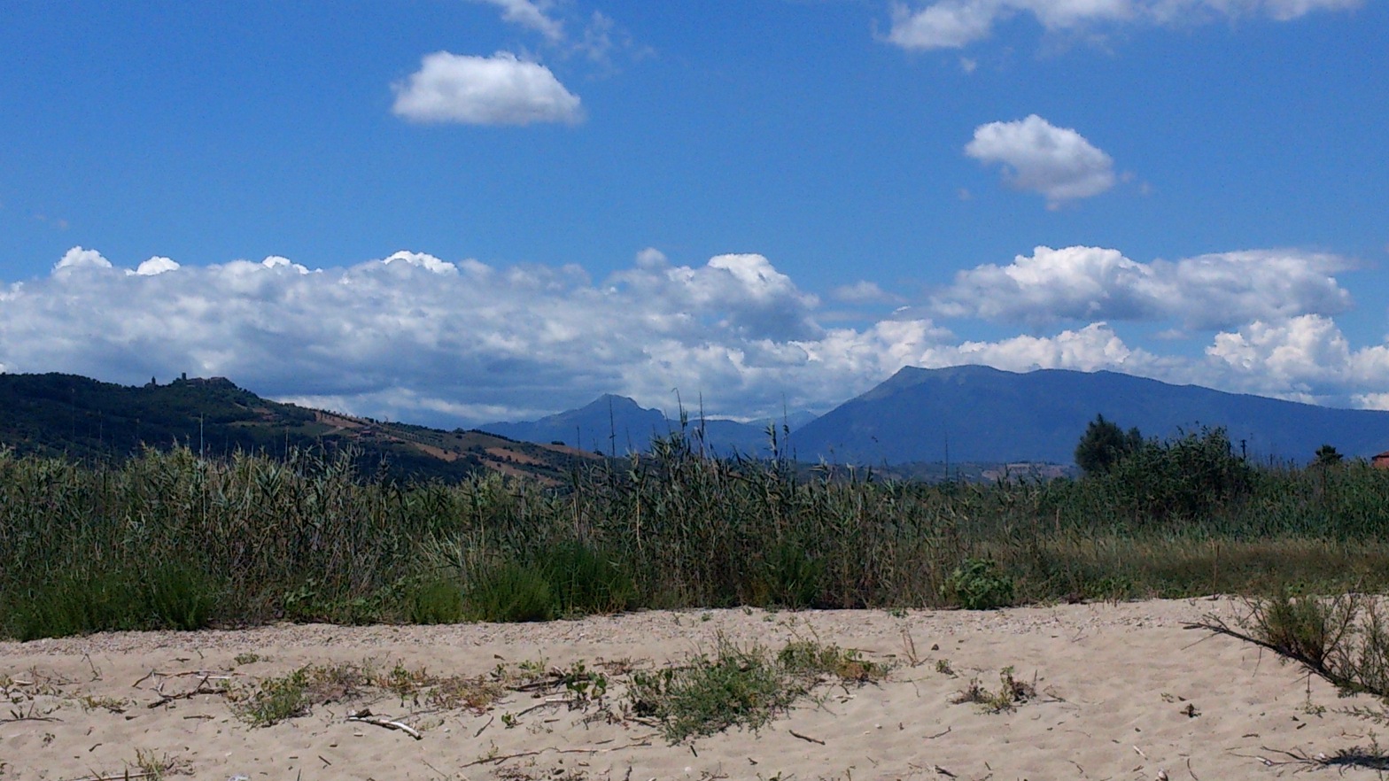 widok z plaży w drugą, "nie morską" stronę / DSC_2231.jpg DSC_2231.jpg