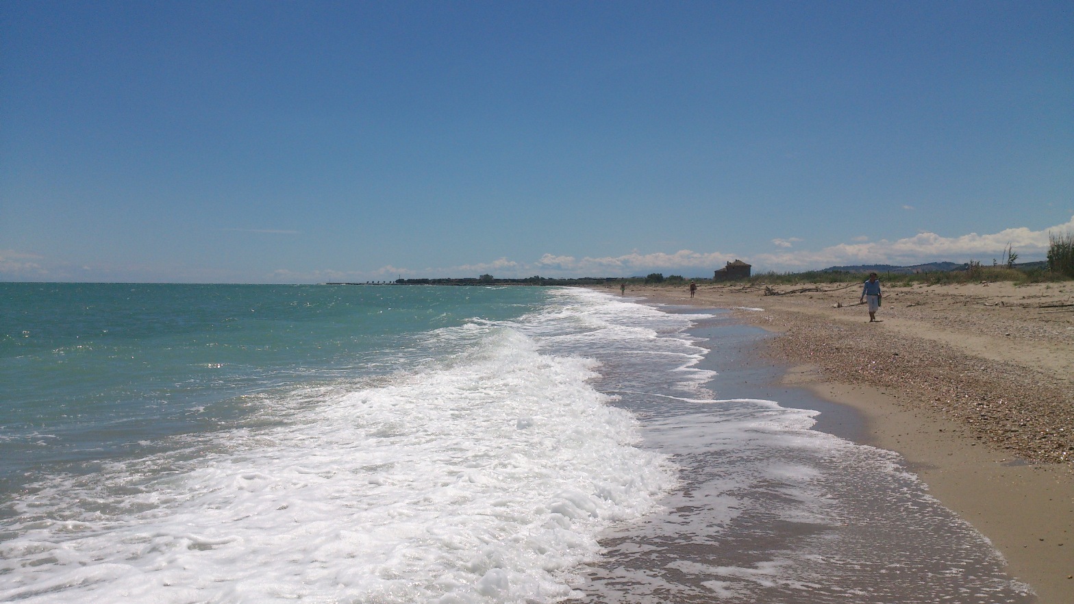 DSC_2232.jpg DSC_2232.jpg