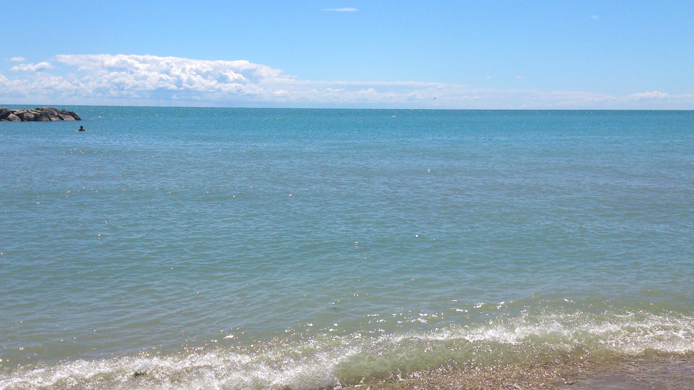 DSC_2220.jpg DSC_2220.jpg