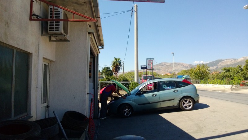 Foczka z otwartą paszczą... / WP_20130906_027 (Kopiowanie).jpg WP_20130906_027 (Kopiowanie).jpg