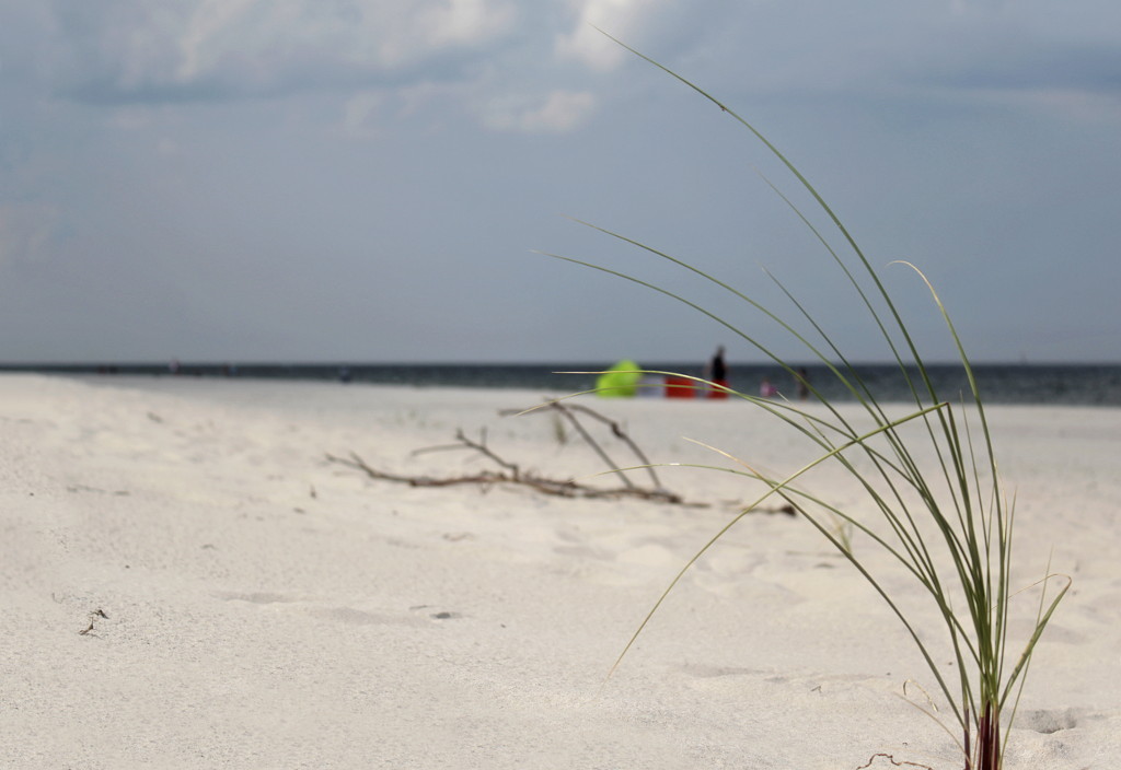 _MG_1033a.JPG