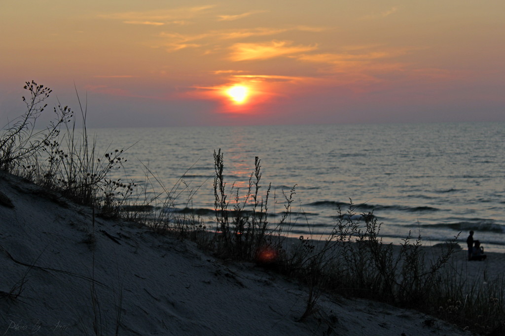 _MG_1045a.JPG