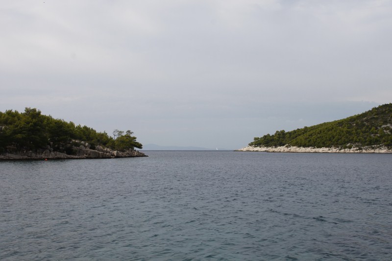 _MG_9892 (Kopiowanie).JPG