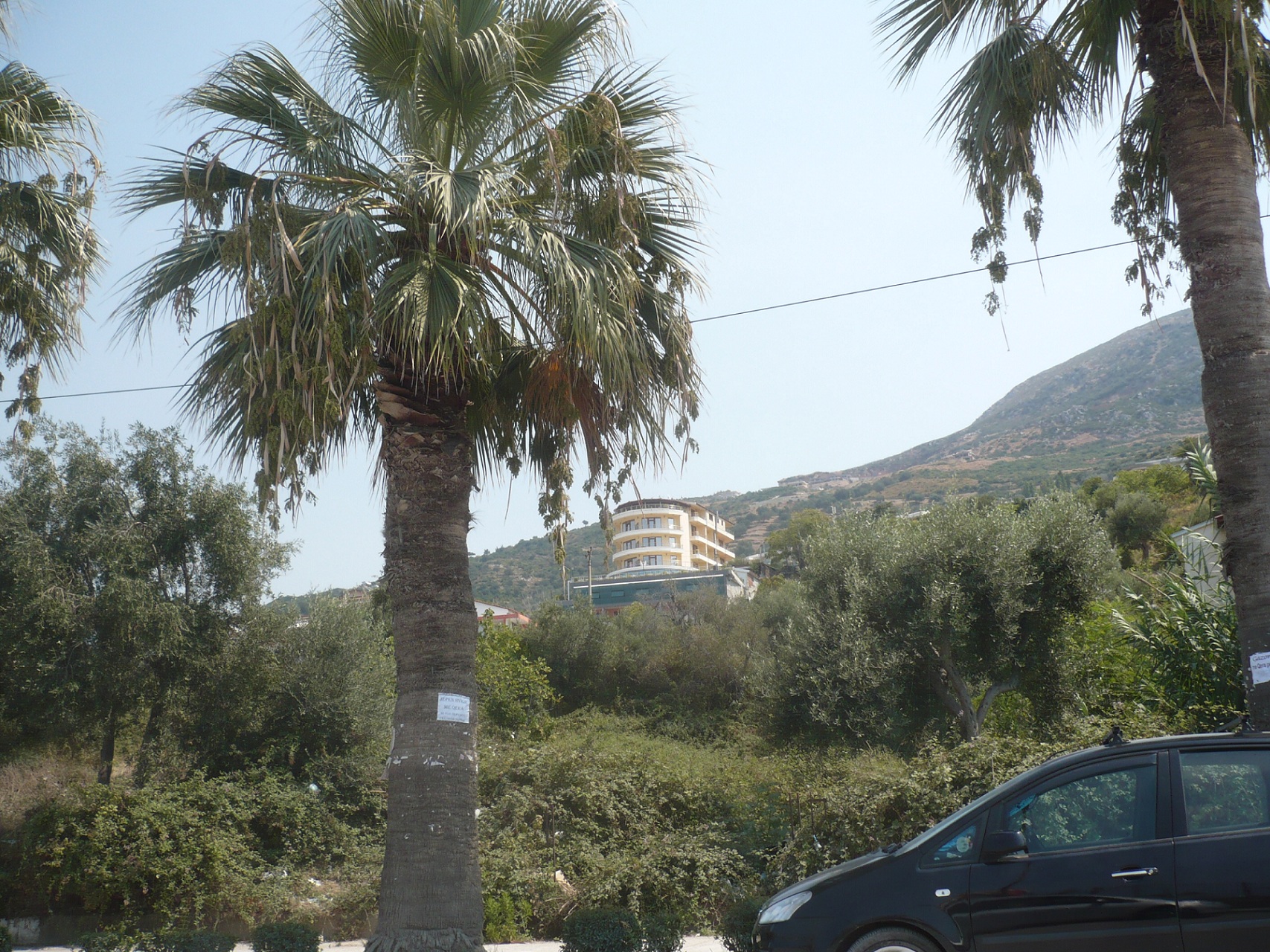 nieco dalej / P1030168 A.jpg P1030168 A.jpg