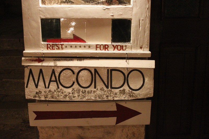 _MG_0214 (Kopiowanie).JPG