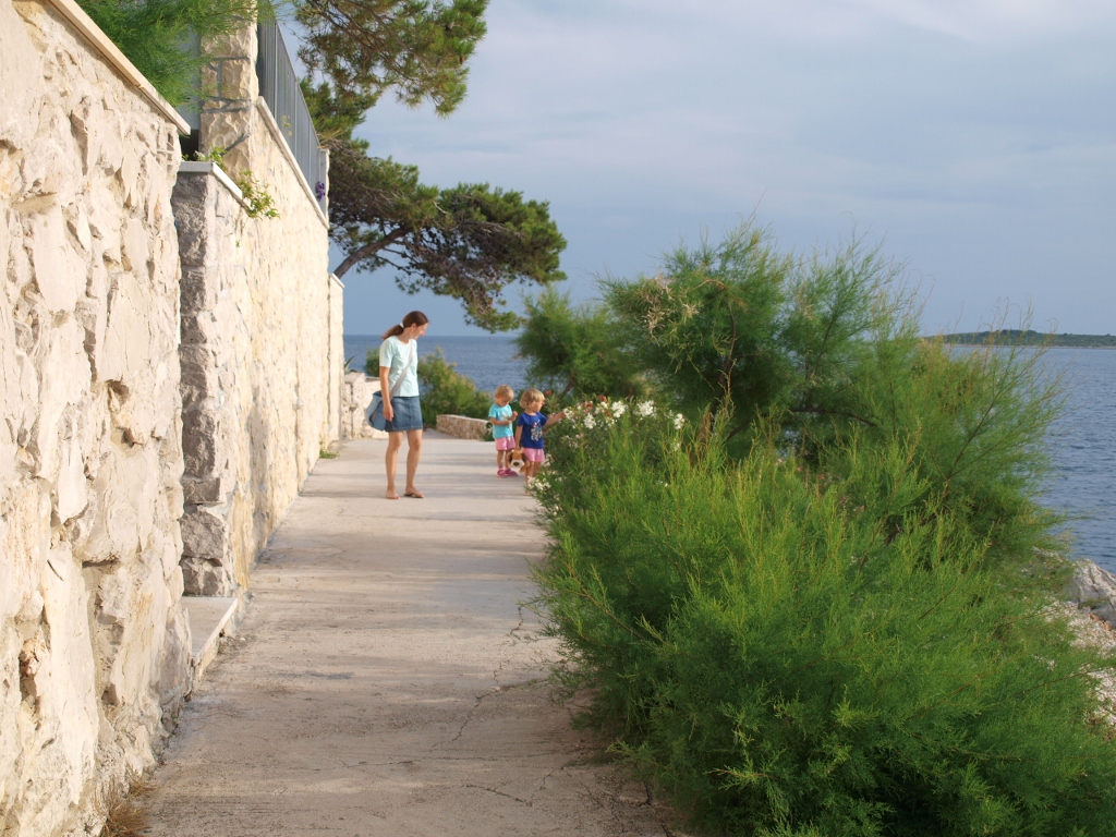 P6232554 (1024x768).jpg