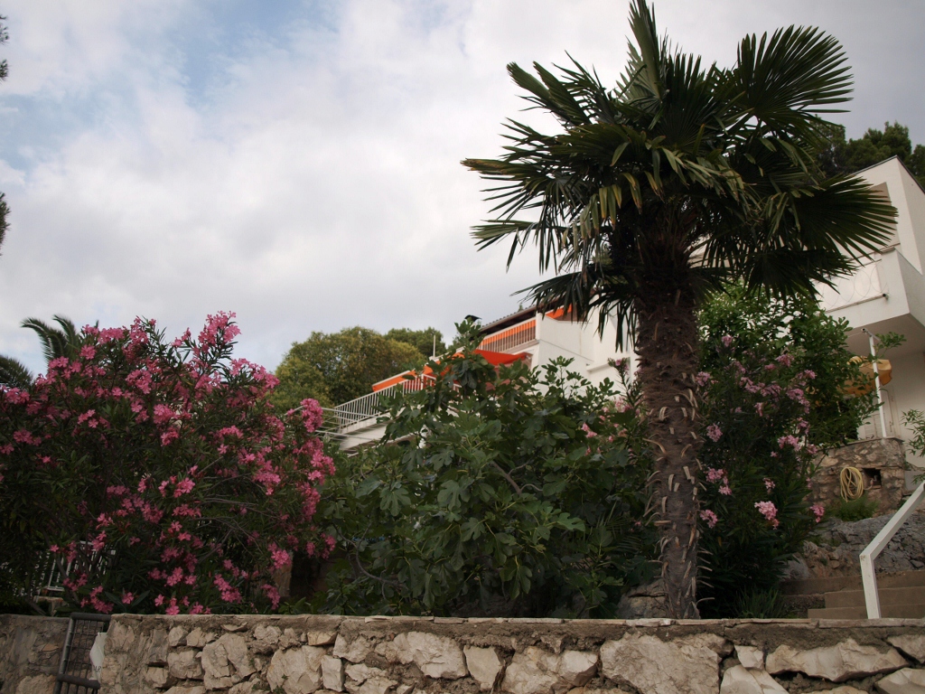 P6242650 (1024x768).jpg