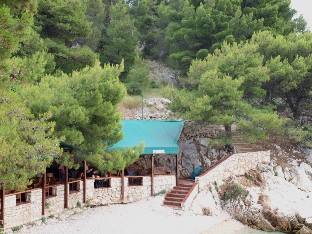 P6242655 (1024x768).jpg