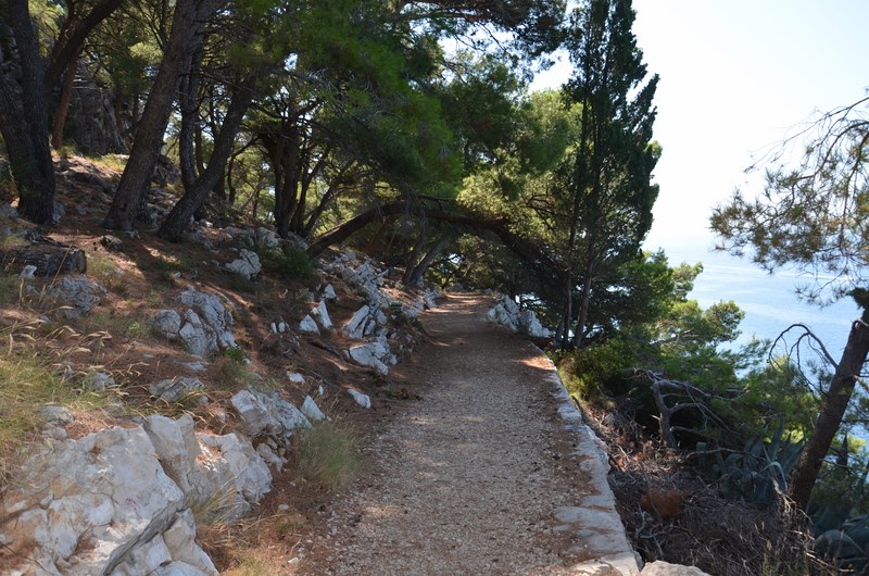 DSC_0501 (Kopiowanie).JPG