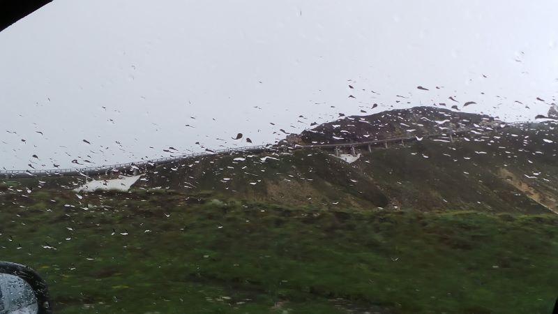 20140730_095725_LLS (800x450).jpg 20140730_095725_LLS (800x450).jpg