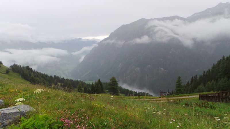 20140730_112804 (800x450).jpg 20140730_112804 (800x450).jpg