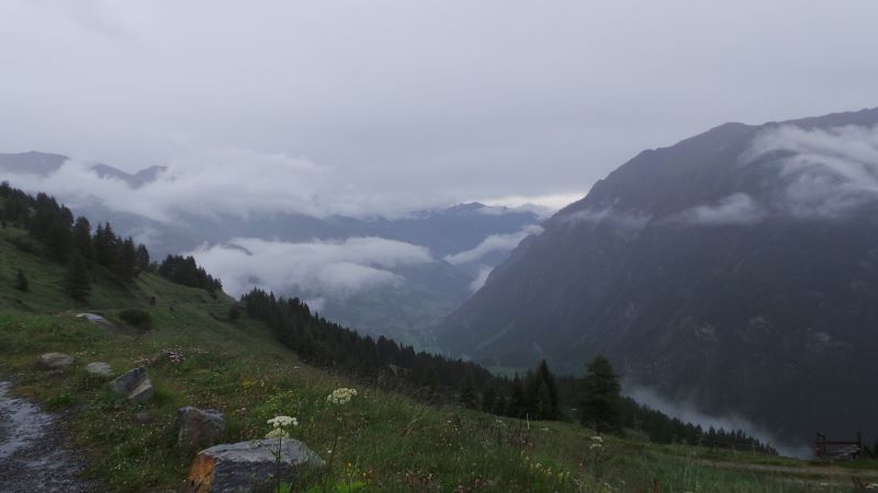 20140730_112808 (800x450).jpg 20140730_112808 (800x450).jpg