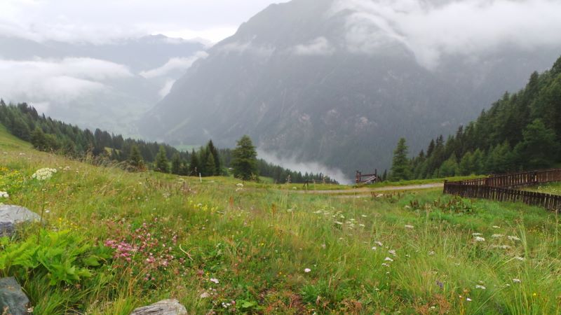 20140730_112817 (800x450).jpg 20140730_112817 (800x450).jpg