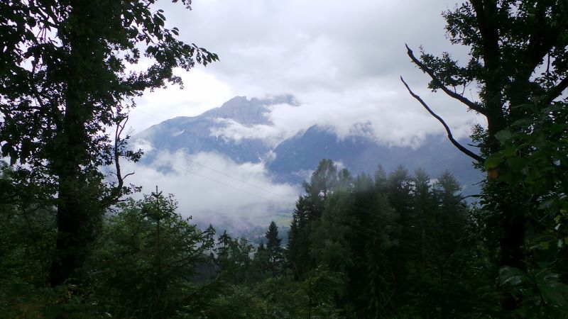 20140730_120940 (800x450).jpg 20140730_120940 (800x450).jpg