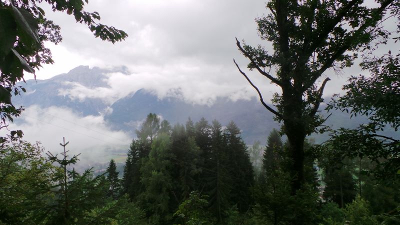 20140730_120945 (800x450).jpg 20140730_120945 (800x450).jpg