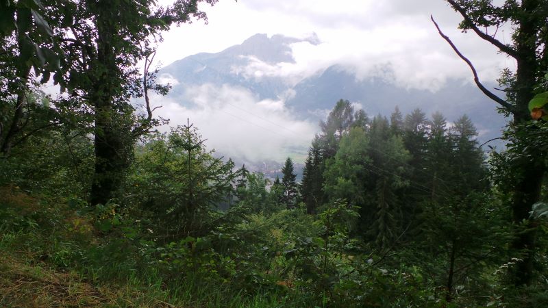 20140730_120955 (800x450).jpg 20140730_120955 (800x450).jpg