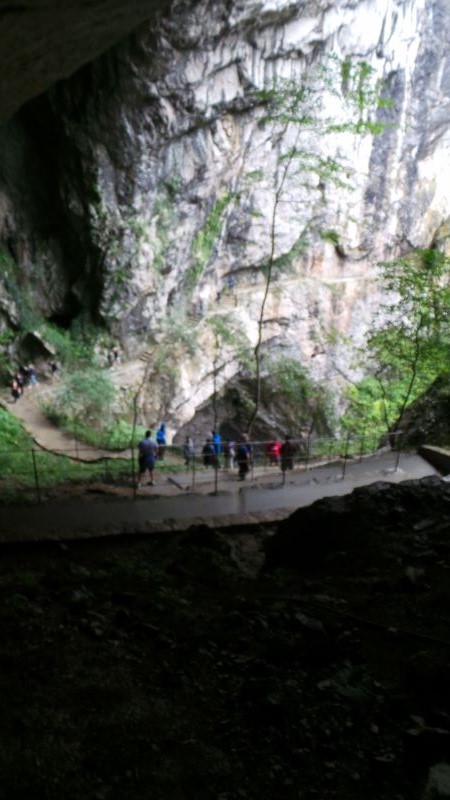 20140730_183126 (800x450).jpg 20140730_183126 (800x450).jpg